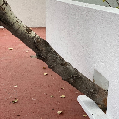 PHOTO-2025-11-21-16-58-34 14